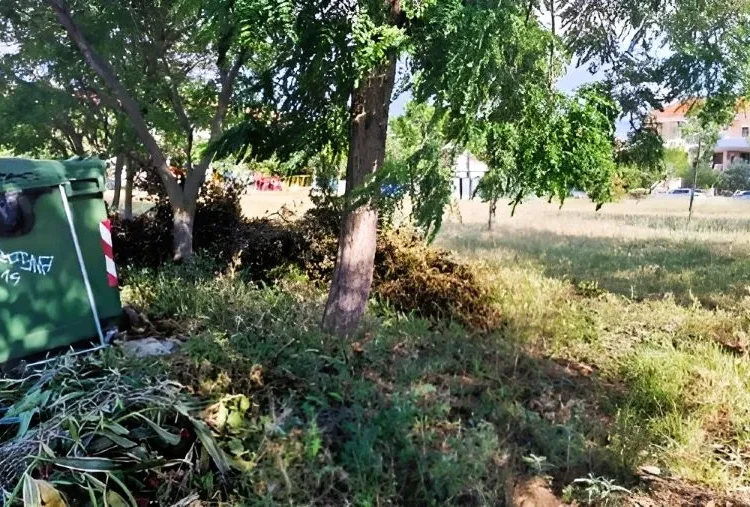Τελευταία προθεσμία για τα ακαθάριστα οικόπεδα: Από την Τρίτη ξεκινούν οι έλεγχοι και οι κυρώσεις